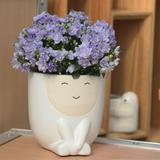 Face Flower Pot